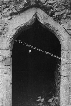 KILCOOLEY ABBEY CHAPTER HOUSE DOOR